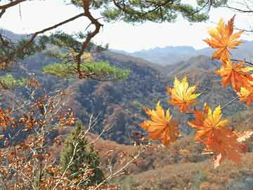 和平精英龙舞新模式全攻略，掌握节奏制霸赛场
