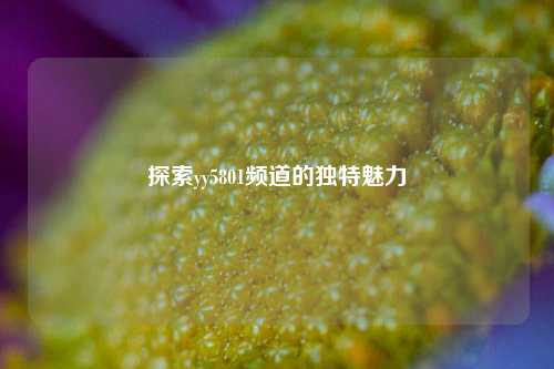 探索yy5801频道的独特魅力