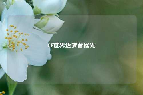 CF世界逐梦者程光