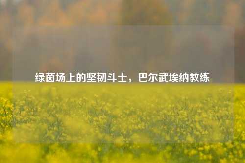 绿茵场上的坚韧斗士，巴尔武埃纳教练