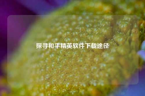 探寻和平精英软件下载途径