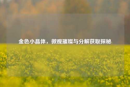 金色小晶体，微观璀璨与分解获取探秘