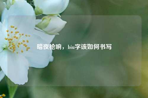 暗夜枪响，biu字该如何书写