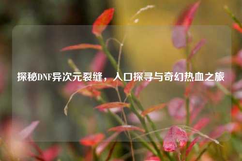 探秘DNF异次元裂缝，入口探寻与奇幻热血之旅