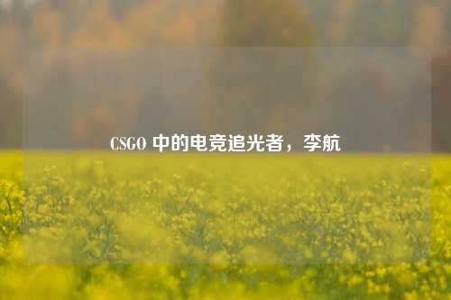 CSGO 中的电竞追光者，李航