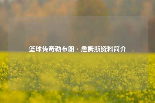 篮球传奇勒布朗·詹姆斯资料简介