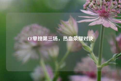 CF单挑第三场，热血荣耀对决