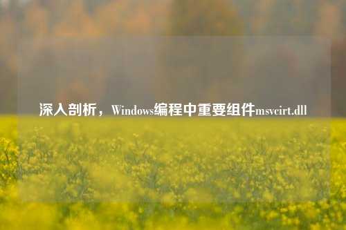 深入剖析，Windows编程中重要组件msvcirt.dll