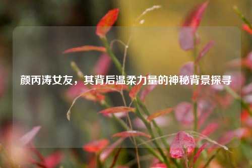 颜丙涛女友,其背后温柔力量的神秘背景探寻