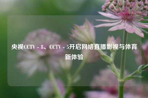 央视CCTV - 8、CCTV - 5开启网络直播影视与体育新体验