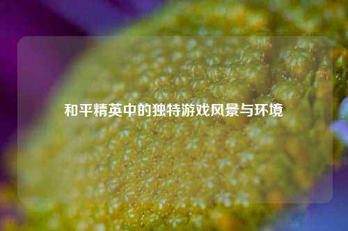 和平精英中的独特游戏风景与环境