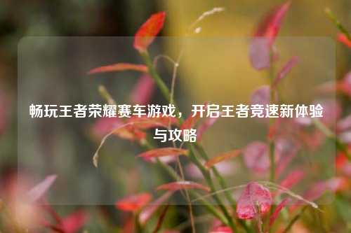 畅玩王者荣耀赛车游戏，开启王者竞速新体验与攻略
