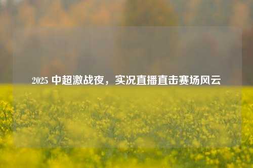 2025 中超激战夜，实况直播直击赛场风云