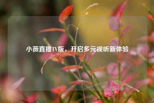 小薇直播TV版，开启多元视听新体验