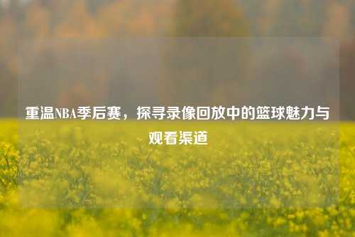 重温NBA季后赛，探寻录像回放中的篮球魅力与观看渠道