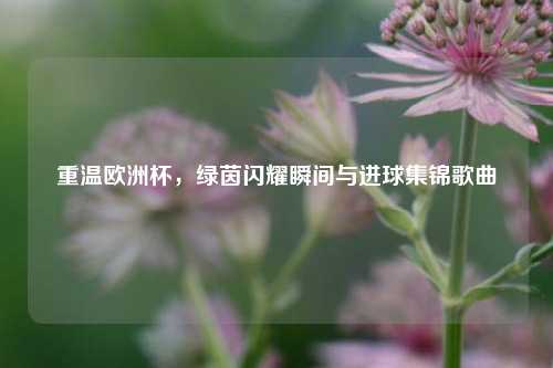 重温欧洲杯，绿茵闪耀瞬间与进球集锦歌曲