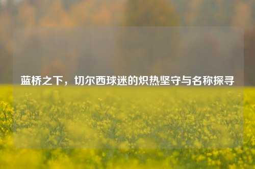 蓝桥之下，切尔西球迷的炽热坚守与名称探寻