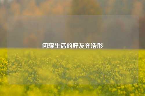 闪耀生活的好友齐浩彤