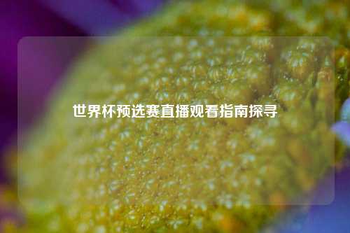 世界杯预选赛直播观看指南探寻