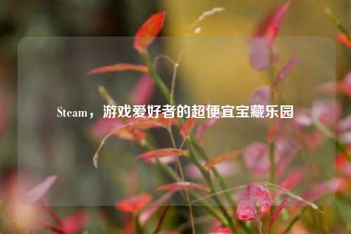 Steam，游戏爱好者的超便宜宝藏乐园