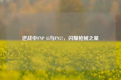 逆战中FNP 45与FN57，闪耀枪械之星