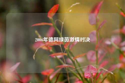 2006年德阿绿茵激情对决