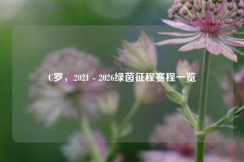C罗，2021 - 2026绿茵征程赛程一览