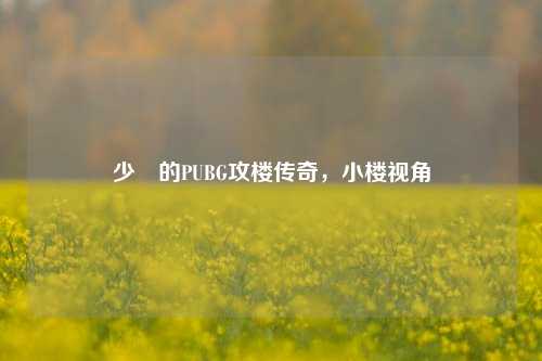 少囧的PUBG攻楼传奇，小楼视角