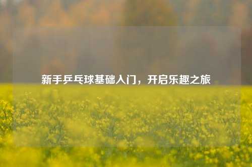 新手乒乓球基础入门，开启乐趣之旅