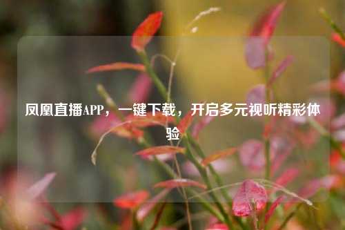 凤凰直播APP，一键下载，开启多元视听精彩体验