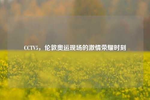 CCTV5，伦敦奥运现场的激情荣耀时刻