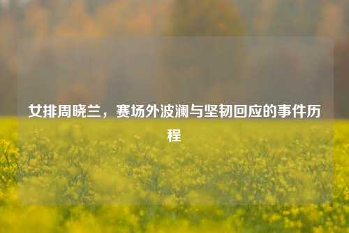 女排周晓兰，赛场外波澜与坚韧回应的事件历程