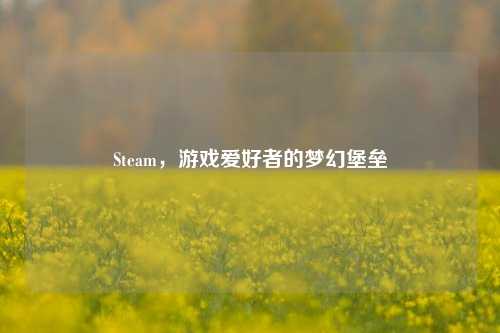 Steam，游戏爱好者的梦幻堡垒
