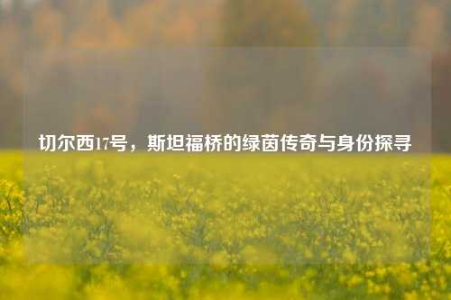 切尔西17号，斯坦福桥的绿茵传奇与身份探寻