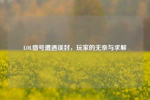 LOL借号遭遇误封，玩家的无奈与求解