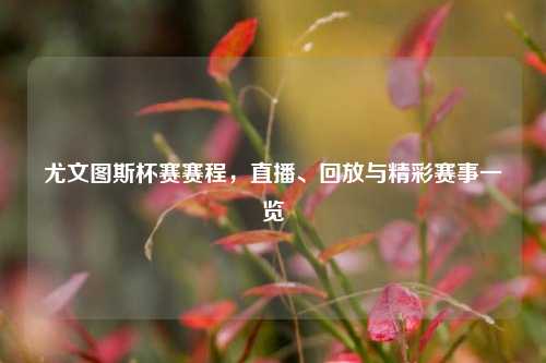 尤文图斯杯赛赛程，直播、回放与精彩赛事一览