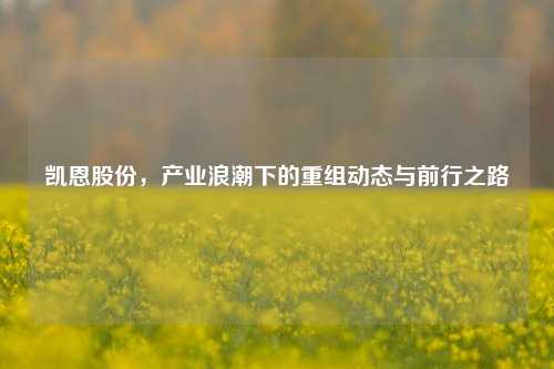 凯恩股份，产业浪潮下的重组动态与前行之路