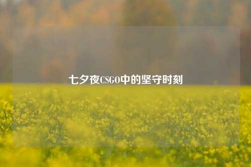 七夕夜CSGO中的坚守时刻