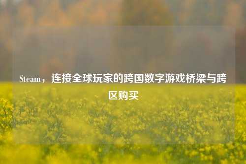 Steam，连接全球玩家的跨国数字游戏桥梁与跨区购买