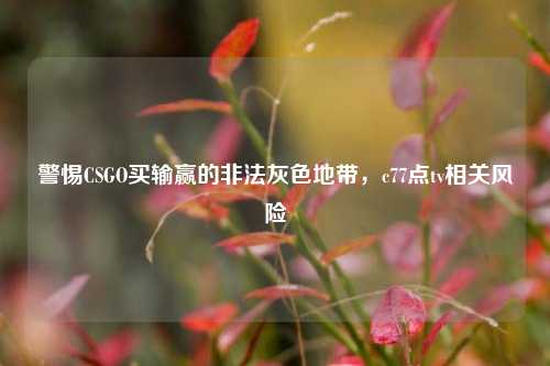 警惕CSGO买输赢的非法灰色地带，c77点tv相关风险