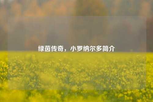 绿茵传奇，小罗纳尔多简介