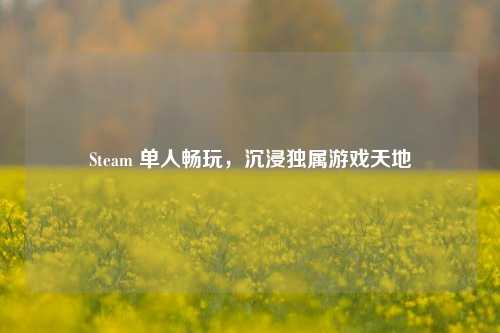 Steam 单人畅玩，沉浸独属游戏天地