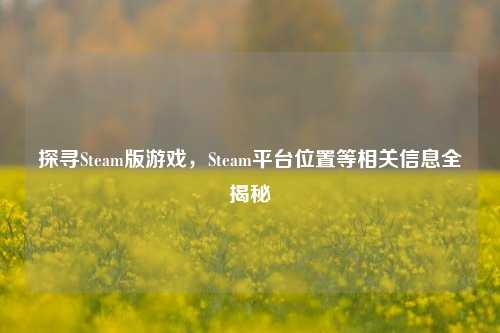 探寻Steam版游戏，Steam平台位置等相关信息全揭秘