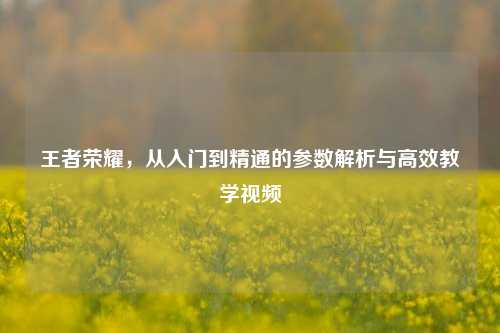 王者荣耀，从入门到精通的参数解析与高效教学视频