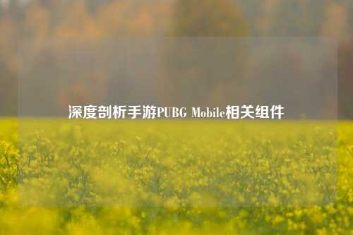 深度剖析手游PUBG Mobile相关组件