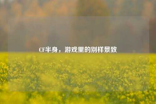 CF半身，游戏里的别样景致