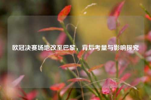 欧冠决赛场地改至巴黎，背后考量与影响探究