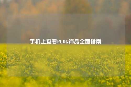 手机上查看PUBG饰品全面指南