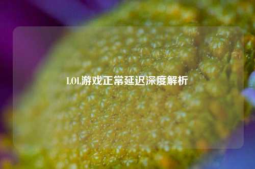 LOL游戏正常延迟深度解析