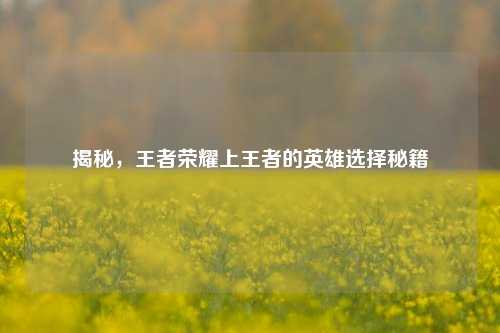 揭秘,王者荣耀上王者的英雄选择秘籍